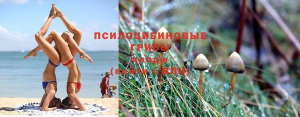 гашишное масло Беломорск