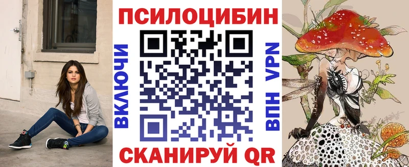 мега маркетплейс  наркота  Лыткарино  Псилоцибиновые грибы мицелий 